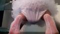 Bratty Toddler Girl's<br />Dirty Plastic Panties