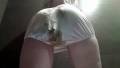 High Satin Panties Poops