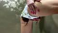 Huge Poops In Cotton Panties