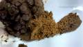 Huge Poops In Cotton Panties