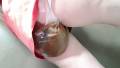 Poop & Piss Filled<br />Plastic Panties