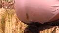 Pippa's Public Jeans Poop