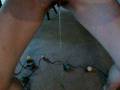 Pissing on the Carpet