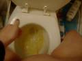 Pissing on the Toilet 2