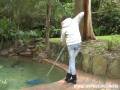 Pool Pee